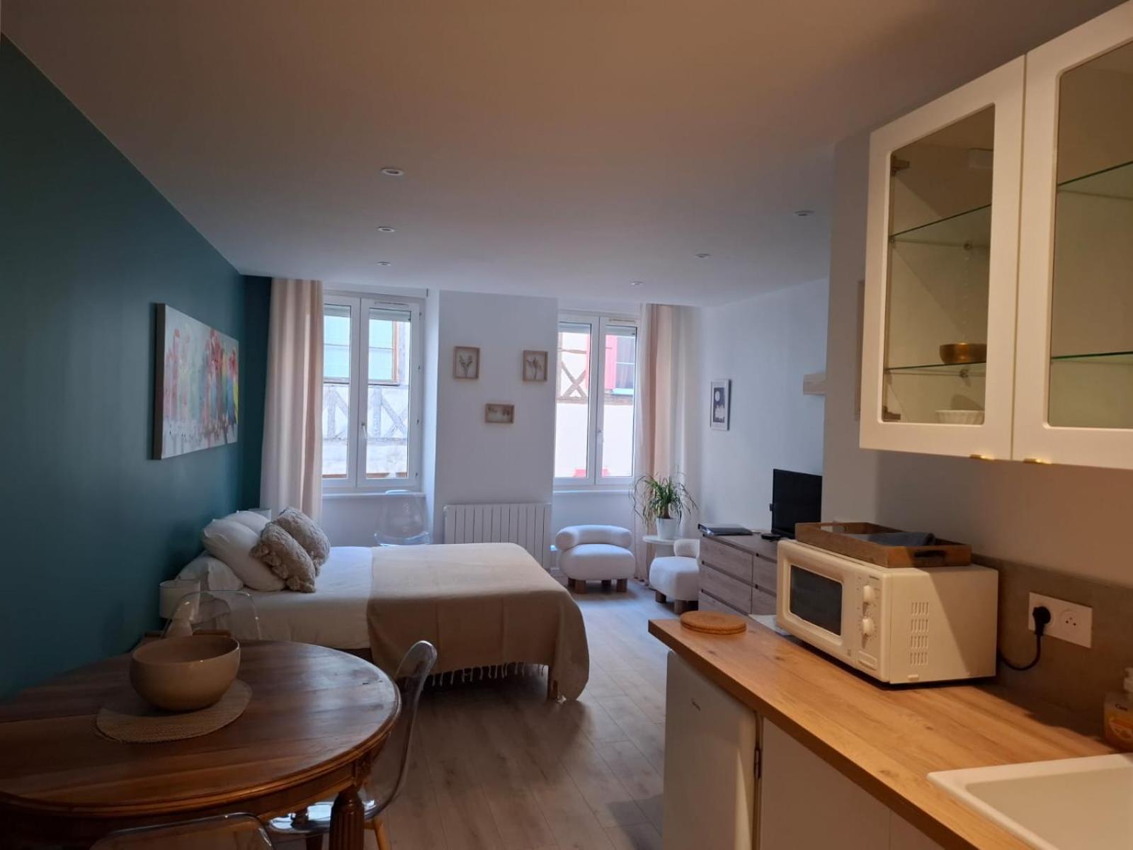 Studio Centre Macon Place Aux Herbes Luaran gambar
